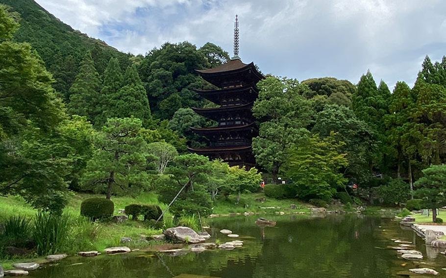 🌳 가메야마 공원 산정광장(카메야마 코엔 산초 히로바) 이미지 11